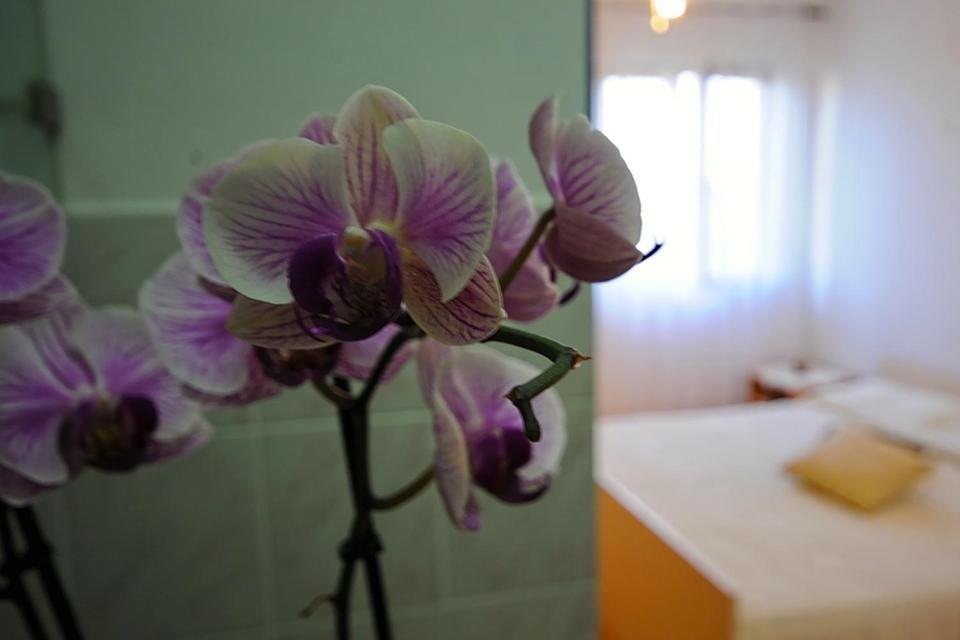 Apartments Marija Bibinje Ruang foto